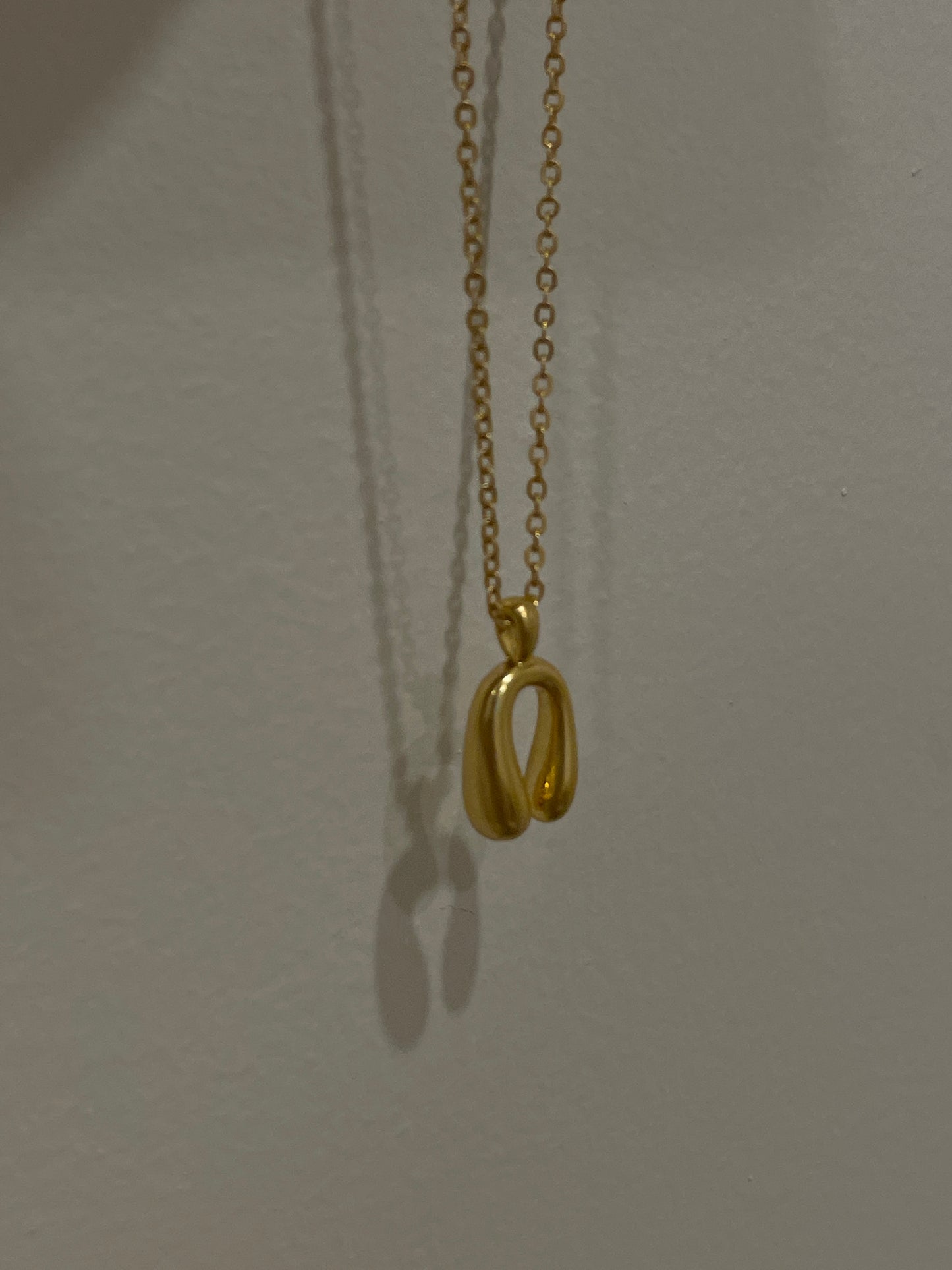 The Choice Necklace(Sold Out)