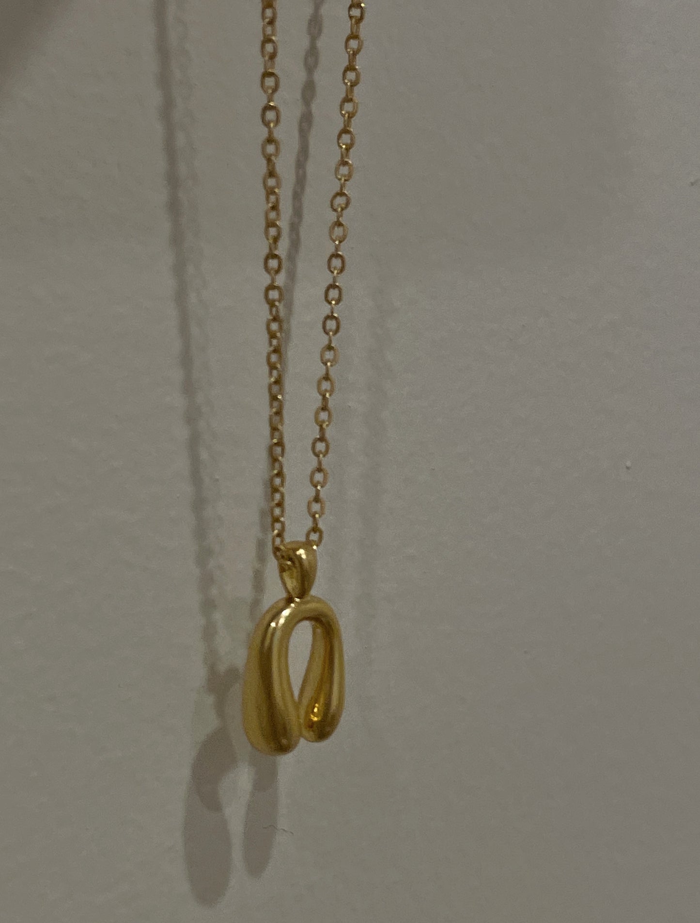 The Choice Necklace(Sold Out)