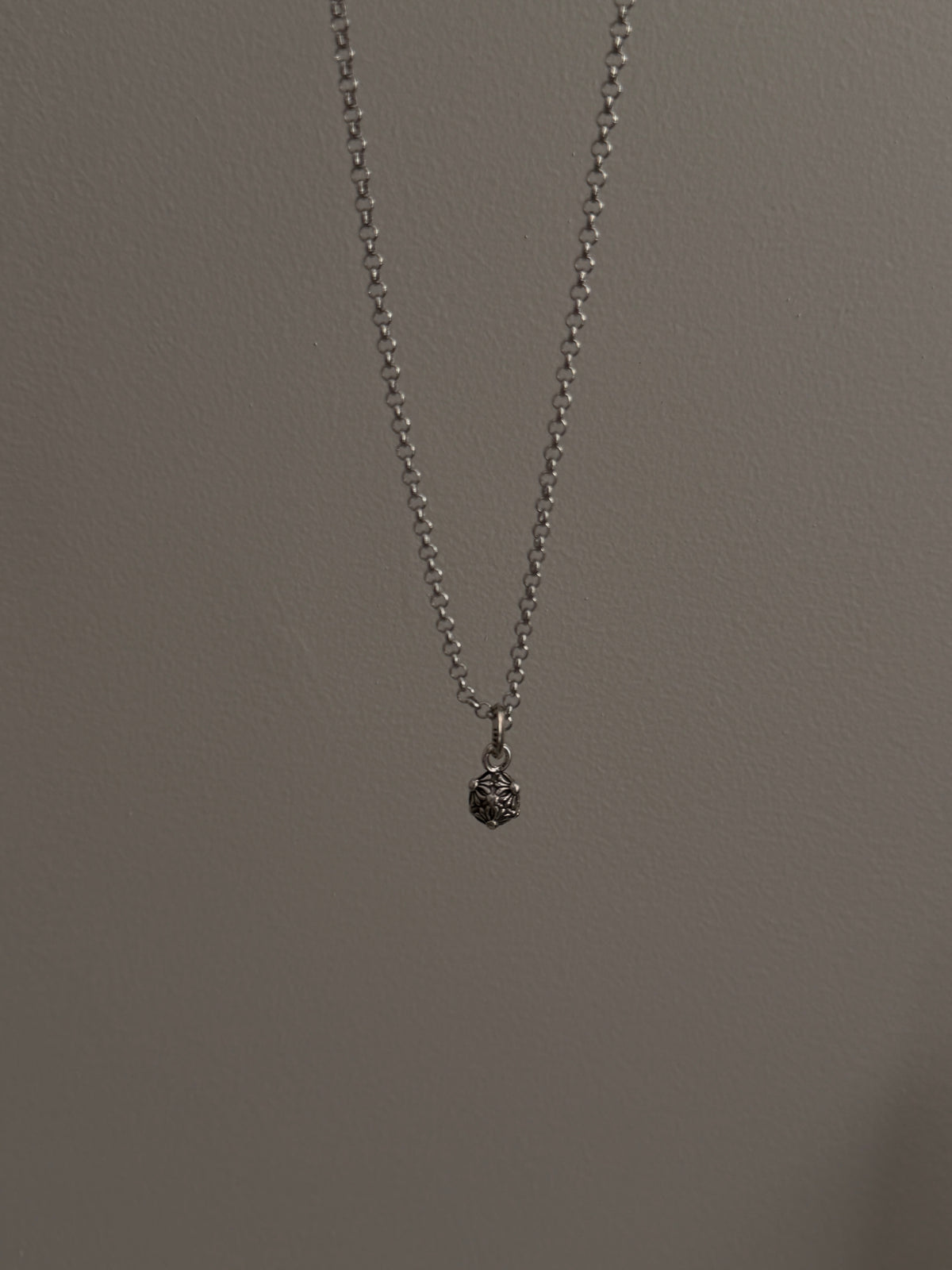 The Silver Thorn Necklace